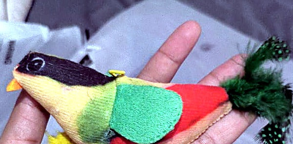 Pajarito de peluche interactivo para gatos, detalle real Nuvola Pets