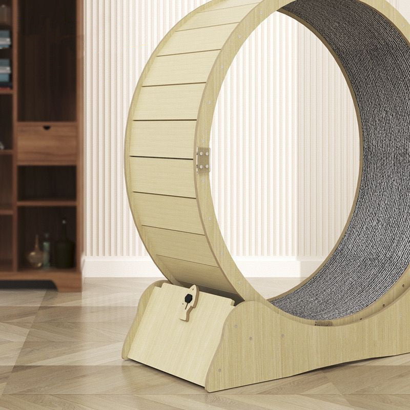 Rueda de Ejercicio Silenciosa para Gatos - Fitness Interior