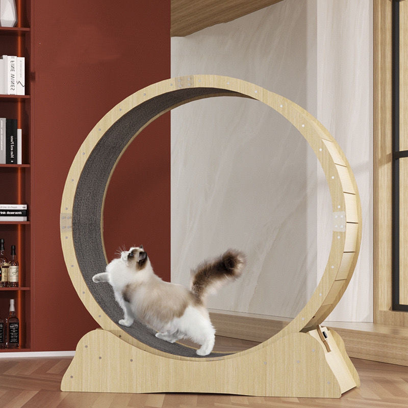 Rueda de Ejercicio Silenciosa para Gatos - Fitness Interior