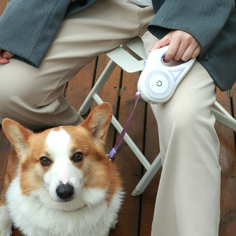 Perro usando correa retráctil con collar LED Nuvola Pets
