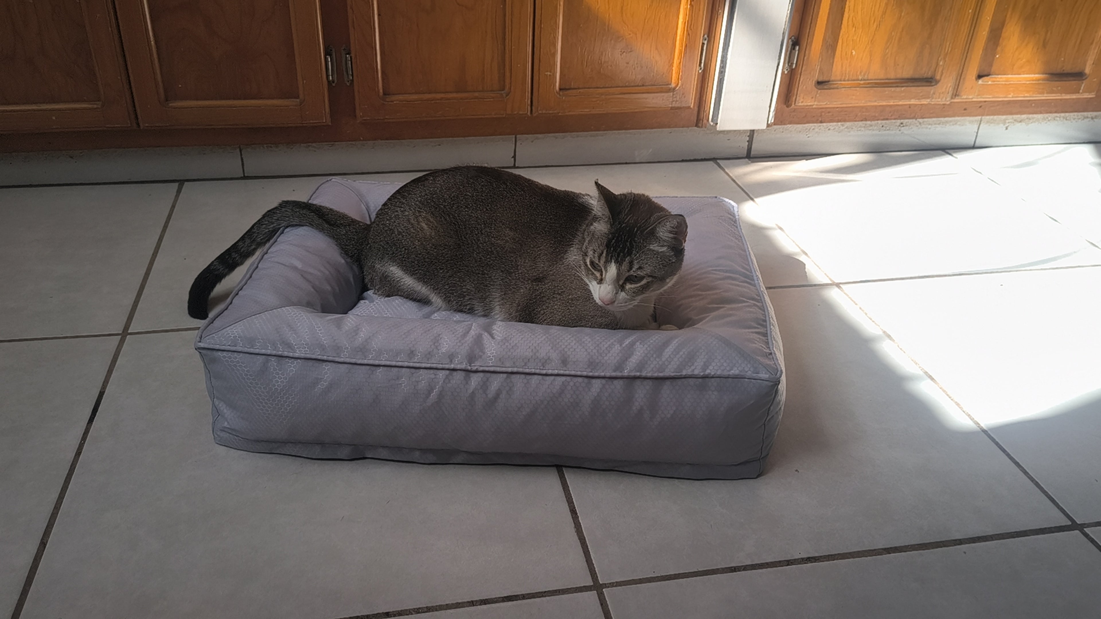 Cama Ortopédica Nuvola Cloud™ - Confort Eco-Luxury