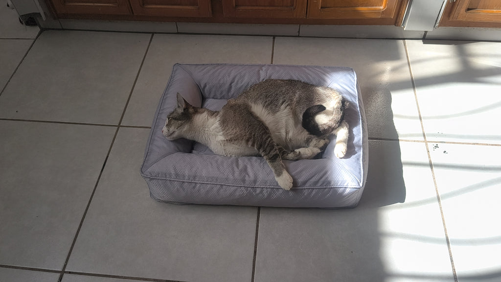 Cama Ortopédica Nuvola Cloud™ - Confort Eco-Luxury