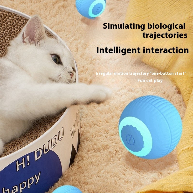 Gato jugando con la pelota interactiva automática Nuvola Pets en interior